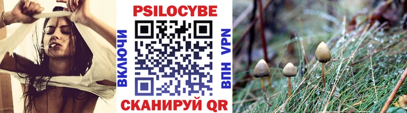 Псилоцибиновые грибы MAGIC MUSHROOMS  Анапа 